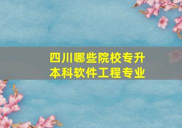 四川哪些院校专升本科软件工程专业