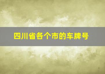 四川省各个市的车牌号