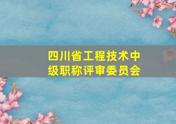 四川省工程技术中级职称评审委员会