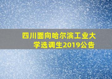 四川面向哈尔滨工业大学选调生2019公告