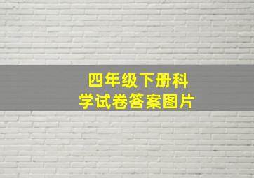 四年级下册科学试卷答案图片