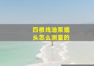 四根线油泵插头怎么测量的