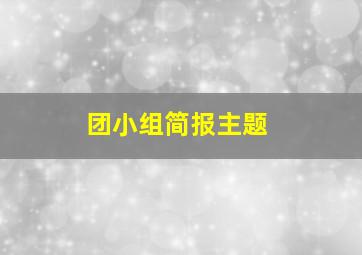 团小组简报主题