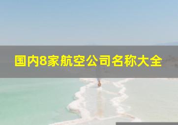 国内8家航空公司名称大全