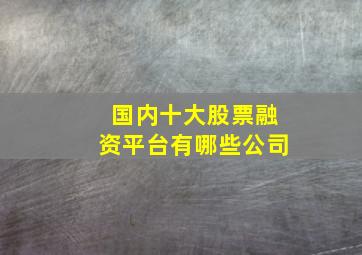 国内十大股票融资平台有哪些公司