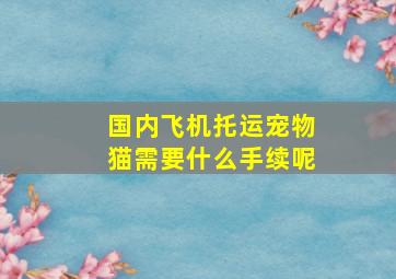 国内飞机托运宠物猫需要什么手续呢