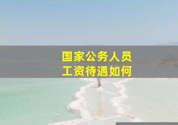 国家公务人员工资待遇如何