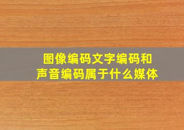 图像编码文字编码和声音编码属于什么媒体