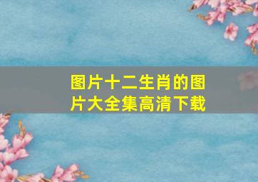 图片十二生肖的图片大全集高清下载