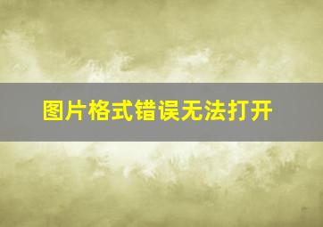 图片格式错误无法打开