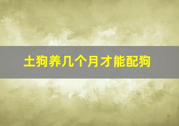 土狗养几个月才能配狗