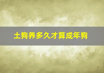 土狗养多久才算成年狗