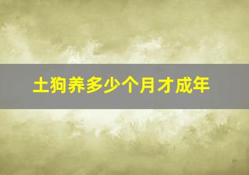 土狗养多少个月才成年