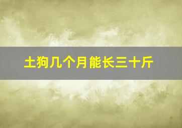 土狗几个月能长三十斤