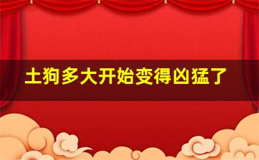 土狗多大开始变得凶猛了