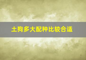 土狗多大配种比较合适