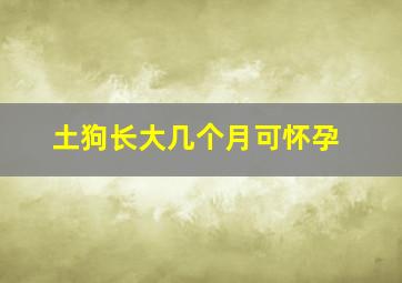 土狗长大几个月可怀孕