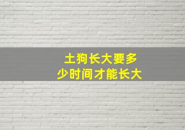 土狗长大要多少时间才能长大