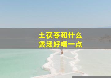 土茯苓和什么煲汤好喝一点