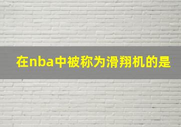 在nba中被称为滑翔机的是