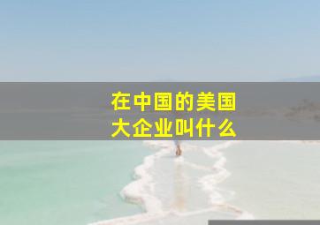 在中国的美国大企业叫什么