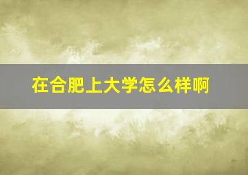 在合肥上大学怎么样啊