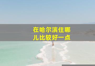 在哈尔滨住哪儿比较好一点