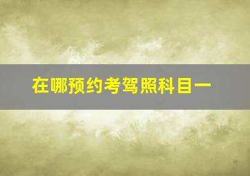 在哪预约考驾照科目一