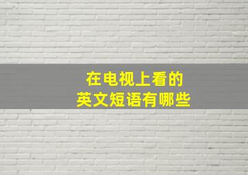 在电视上看的英文短语有哪些