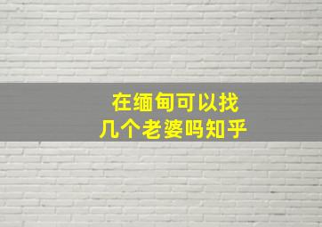 在缅甸可以找几个老婆吗知乎