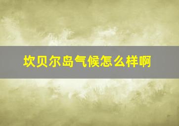 坎贝尔岛气候怎么样啊