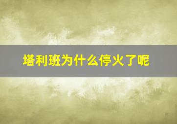 塔利班为什么停火了呢