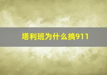 塔利班为什么搞911