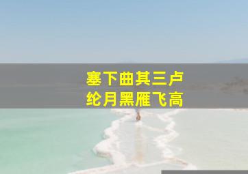 塞下曲其三卢纶月黑雁飞高