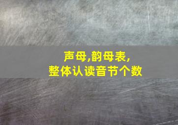 声母,韵母表,整体认读音节个数