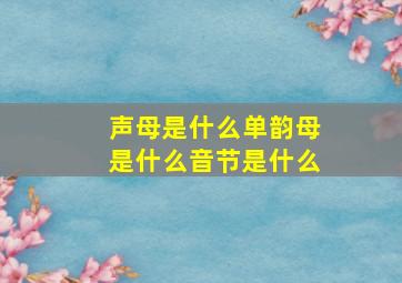 声母是什么单韵母是什么音节是什么