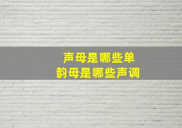 声母是哪些单韵母是哪些声调