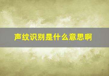 声纹识别是什么意思啊