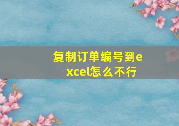 复制订单编号到excel怎么不行