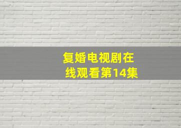 复婚电视剧在线观看第14集