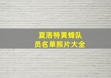 夏洛特黄蜂队员名单照片大全