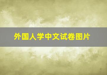 外国人学中文试卷图片