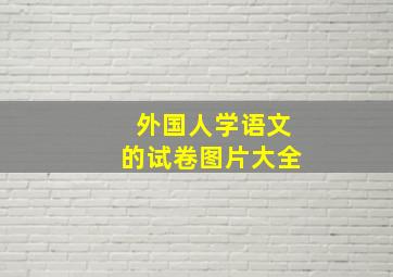 外国人学语文的试卷图片大全