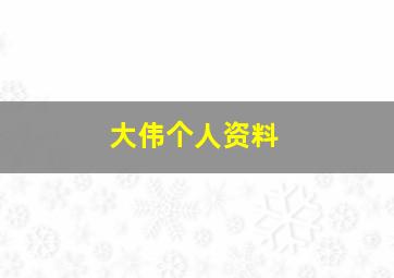 大伟个人资料