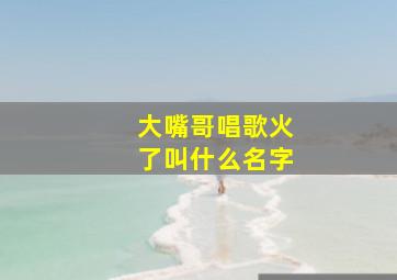 大嘴哥唱歌火了叫什么名字