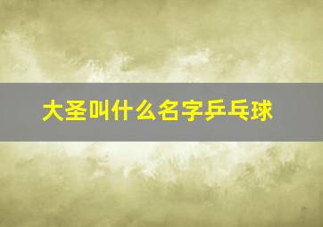 大圣叫什么名字乒乓球