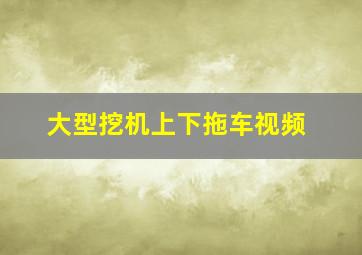 大型挖机上下拖车视频