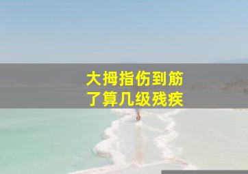 大拇指伤到筋了算几级残疾