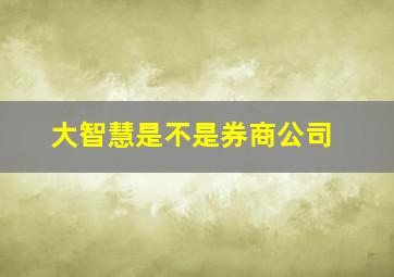 大智慧是不是券商公司