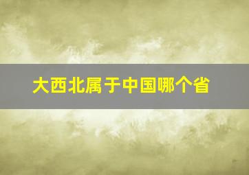 大西北属于中国哪个省